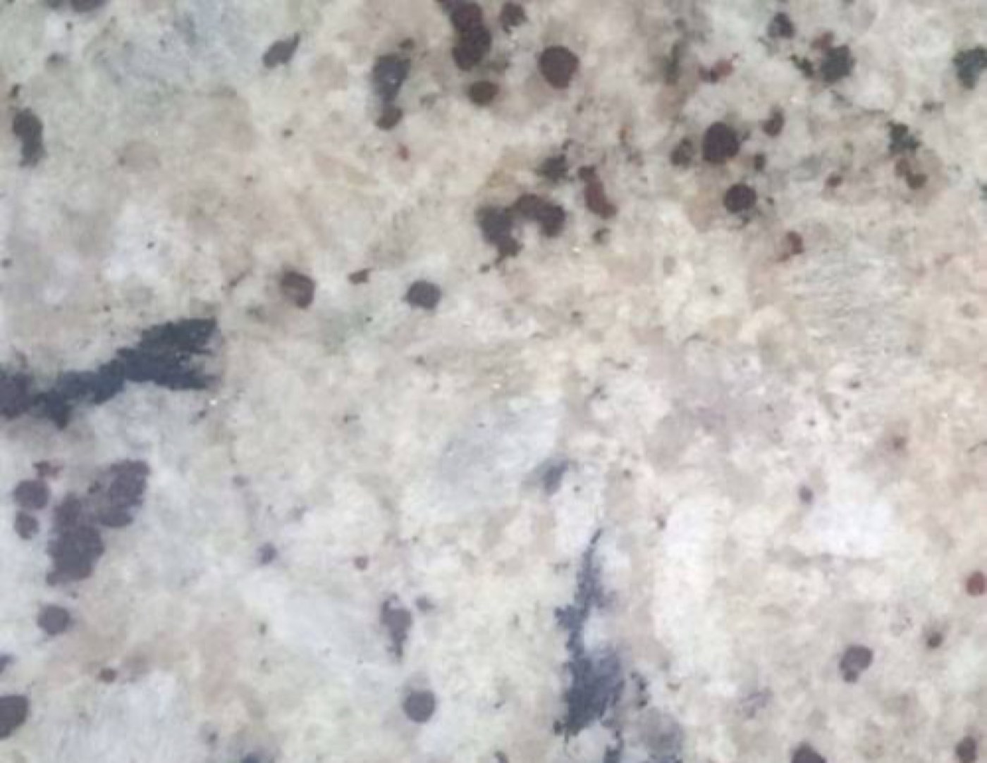 Material Crema Colonial