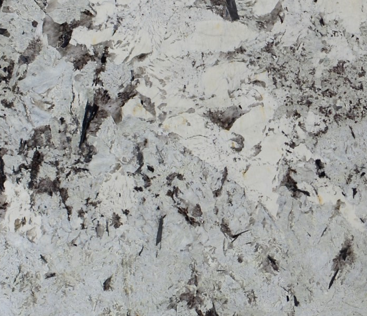Material Delicatus