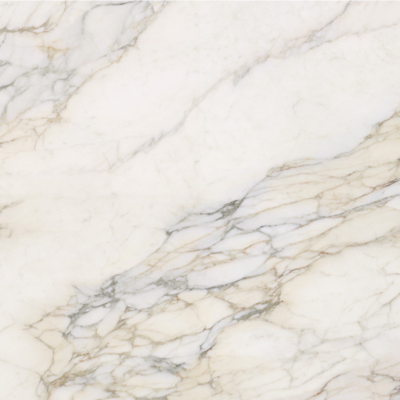 Material Calacatta Vagli