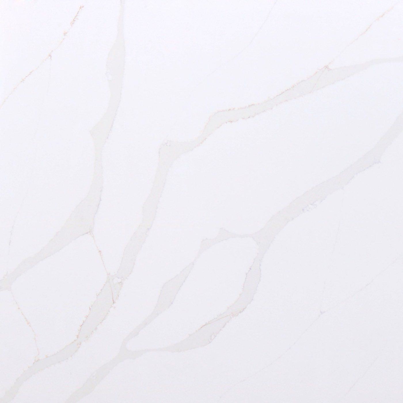 Material Calacatta Gold
